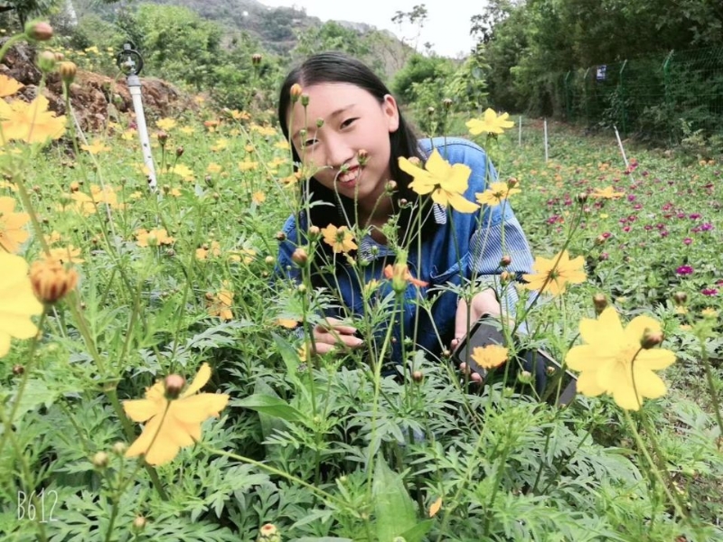 哈哈的第一张照片--昭通红颜知己交友网